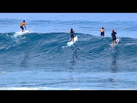 SUP Surfing Pipeline | Da Hui Backdoor Shootout 2025  | SUP Surf  Final | North Shore Oahu Hawaii