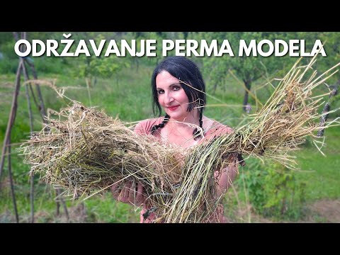 Maintenance Of The Permaculture Model - Answers To MOST IMPORTANT Questions