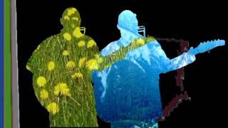 Jaromi - Decoration Day Blues (Sonny Boy Williamson I)