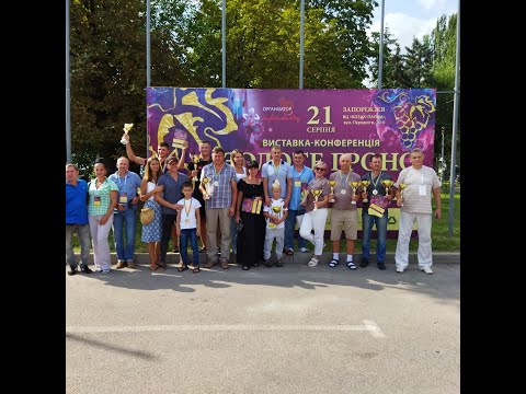 #66 Выставка "Золотая гроздь Украины - 2021", г. Запорожье. (21.08.2021)
