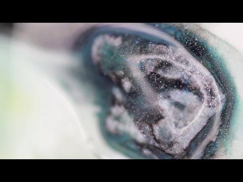 Tomalone - Paréidolie