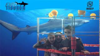 DIA 2 Expo Tiburon52