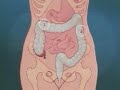 Illuminating The Process Of A Barium Enema Examination