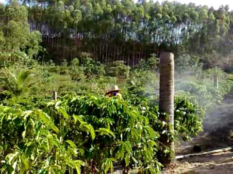 Homem Bomba 16 10 2009