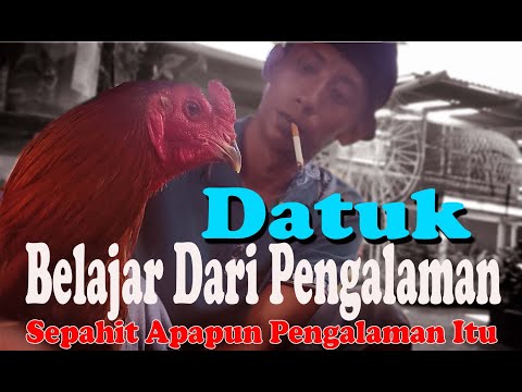 Belajar Dari Pengalaman (  Hobi itu seharusnya bisa menyenangkan bukan mendatangkan kesengsaraan)