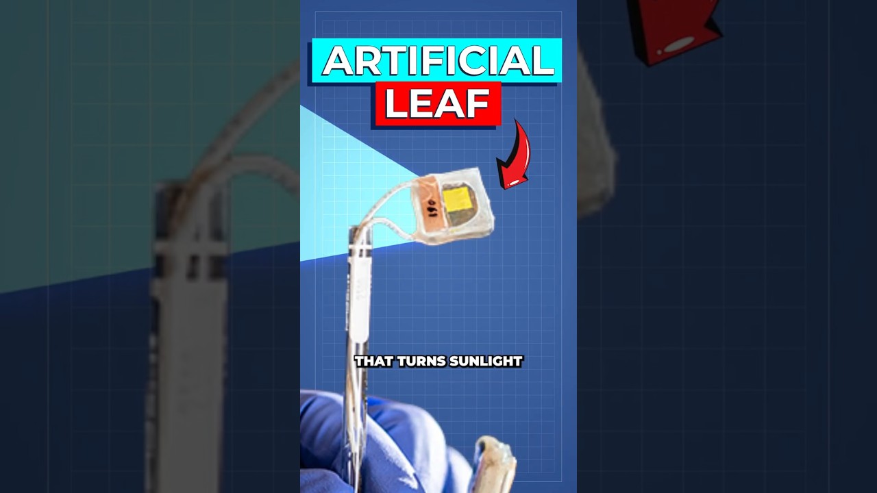 Cambridge Researchers Engineer Solar-Powered 'Artificial Leaf' to Produce Clean Fuel from CO2