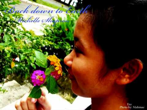 Back down to Earth -Michelle Shaprow