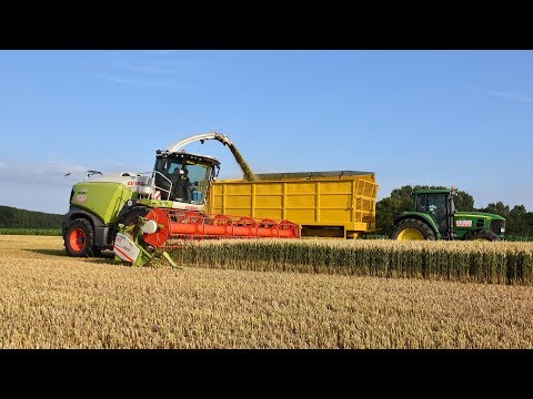 Claas Jaguar 980 & V750 maaibord - Loonw. De Bruyne - GPS hakselen
