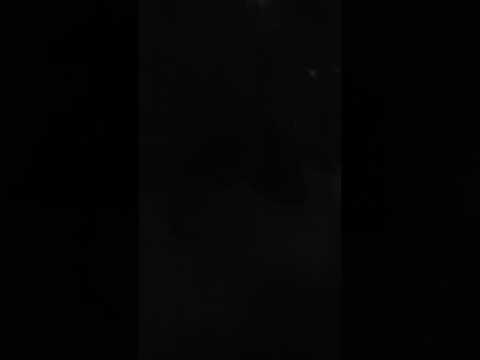 Mi tío el loco 💗