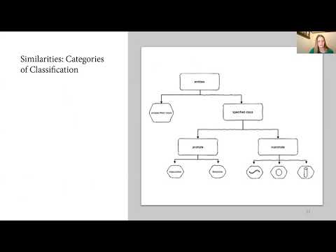 A Comparative Study of the Morphosyntax of Western Tukanoan Noun Classifiers
