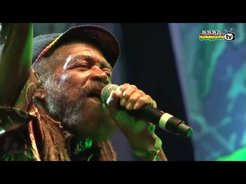 John Holt - Police In Helicopter (Live at Rototom Sunsplash 2013 HD)