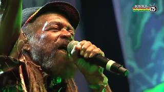 John Holt - Police In Helicopter (Live at Rototom Sunsplash 2013 HD)