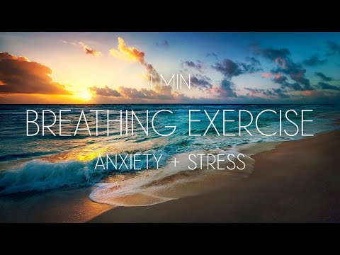 1 Min Calming Breathing Exercise for Stress and Anxiety