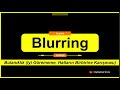 Blurring Kelimesinin Türkçe Anlamı Nedir YDS Kelimesi
