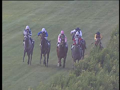 Galoppo 28/06/2019 - 6ª corsa