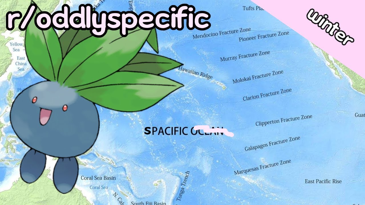 r/oddlyspecific is oddly specific