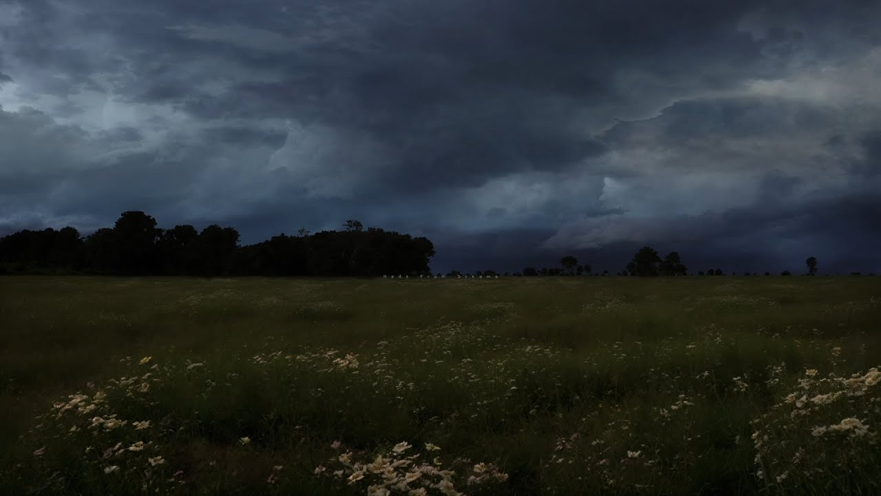 𝐩𝐥𝐚𝐲𝐥𝐢𝐬𝐭 𝐰𝐡𝐞𝐧 𝐲𝐨𝐮 𝐟𝐞𝐞𝐥 𝐝𝐞𝐩𝐫𝐞𝐬𝐬𝐞𝐝.