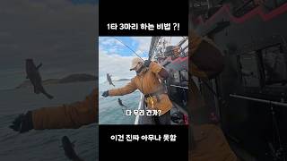 1타 3마리 비법?! #우럭 #낚시 #fishing