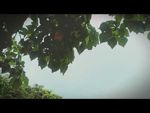 Pahiram ng Oras mo. . .