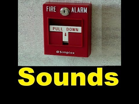 download lagu mp3 mp4 Fire Alarm Siren Sound Effect, download lagu Fire Alarm Siren Sound Effect gratis, unduh video klip Fire Alarm Siren Sound Effect