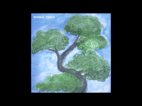 Bonsai Trees -  Ronald Raygun