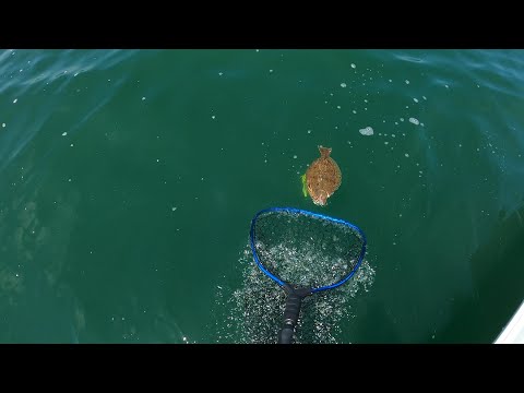 First Ocean trip Fluke fishing NJ