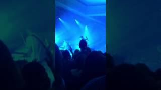 All of this could be yours- The Cold War Kids