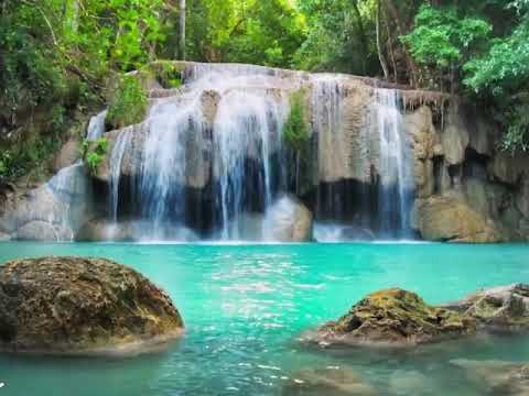 Cane Garden Quartet   Erotisme