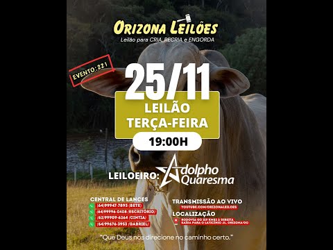 Orizona Leilões - 25/11/2025 I leilão ao Vivo - Leilão em Goiás