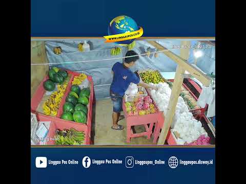 Pencurian Buah Terekam CCTV