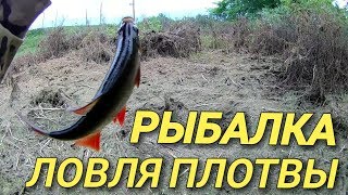 Ловля плотвы осенью на боковой кивок