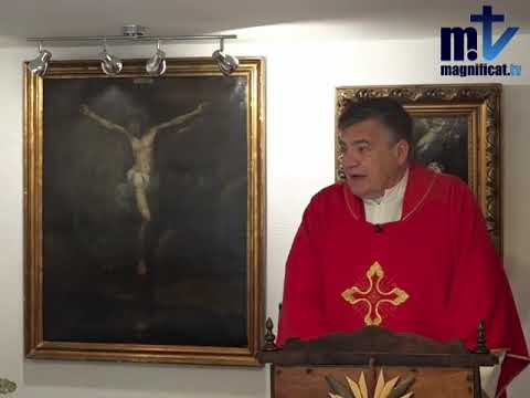 Padre Santiago. Homilía. Septiembre 14 2020. San Juan 3, 13-17. Exaltación de la Santa Cruz.