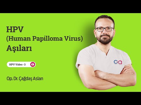 Papillomavírus condylomes vakcina