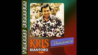 Download lagu Kris Biantoro - Mungkinkah mp3