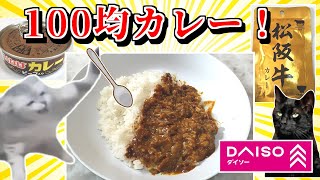 ダイソーで見つけた謎カレーを食べる！【猫ミーム】