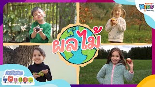 ผลไม้ | ขบวนการ Fun น้ำนม