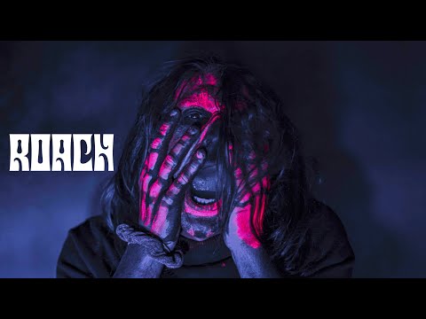 Shimmer - ROACH [OFFICIAL VIDEO]