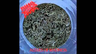 Morbid Angel -  Lord of All Fevers And Plague (With Lyrics)
