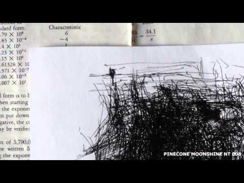 Nic TVG - Longest, Shortest Path