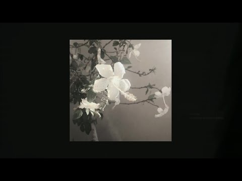 [free] post-hardcore ✯ early 2000's emo ✯ alternative rock type instrumental