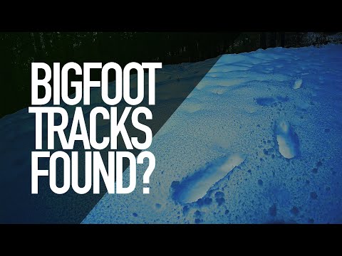 Bigfoot Tracks FOUND? | Sulphur Springs, Oregon | 4k