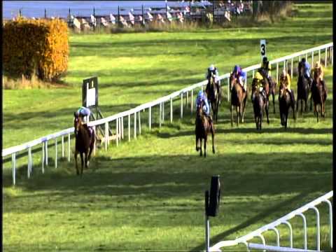 Galopprennbahn Dresden 26.10.2013 - 4.Rennen