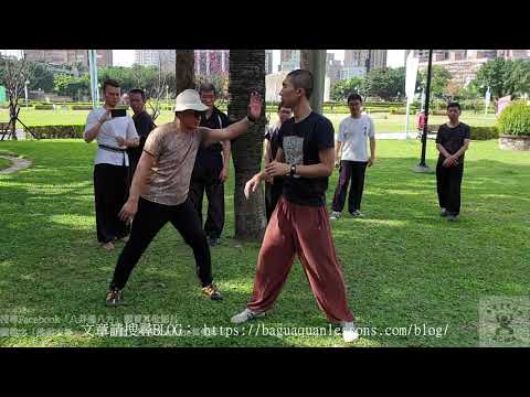 左盤龍