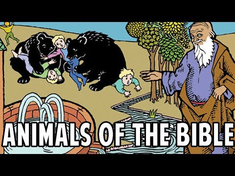 ANIMALS OF THE BIBLE = DFF #53