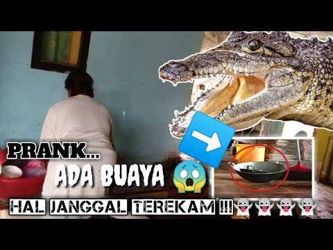 Prank mamah , pake buaya mainan || nasier bdm