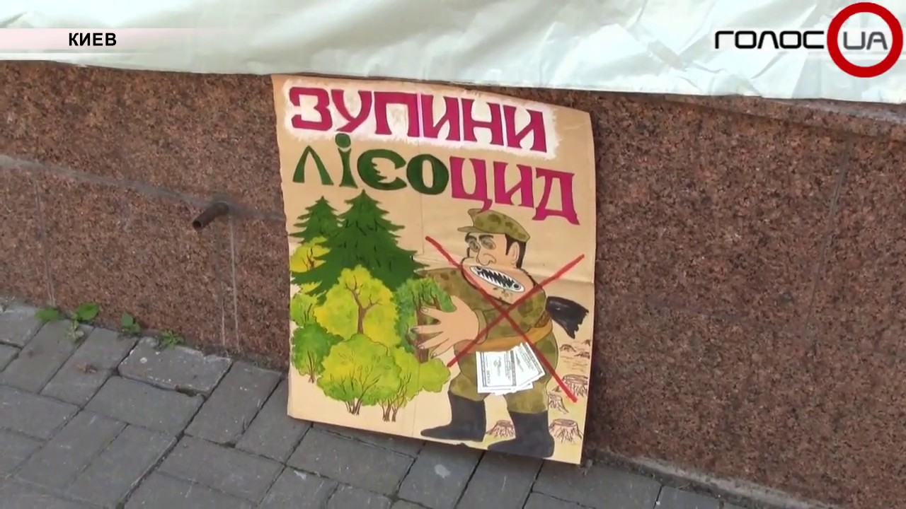 Украину могут исключить из ЮНЕСКО за рубку лесов: Экологи пикетировали Гослесагентство