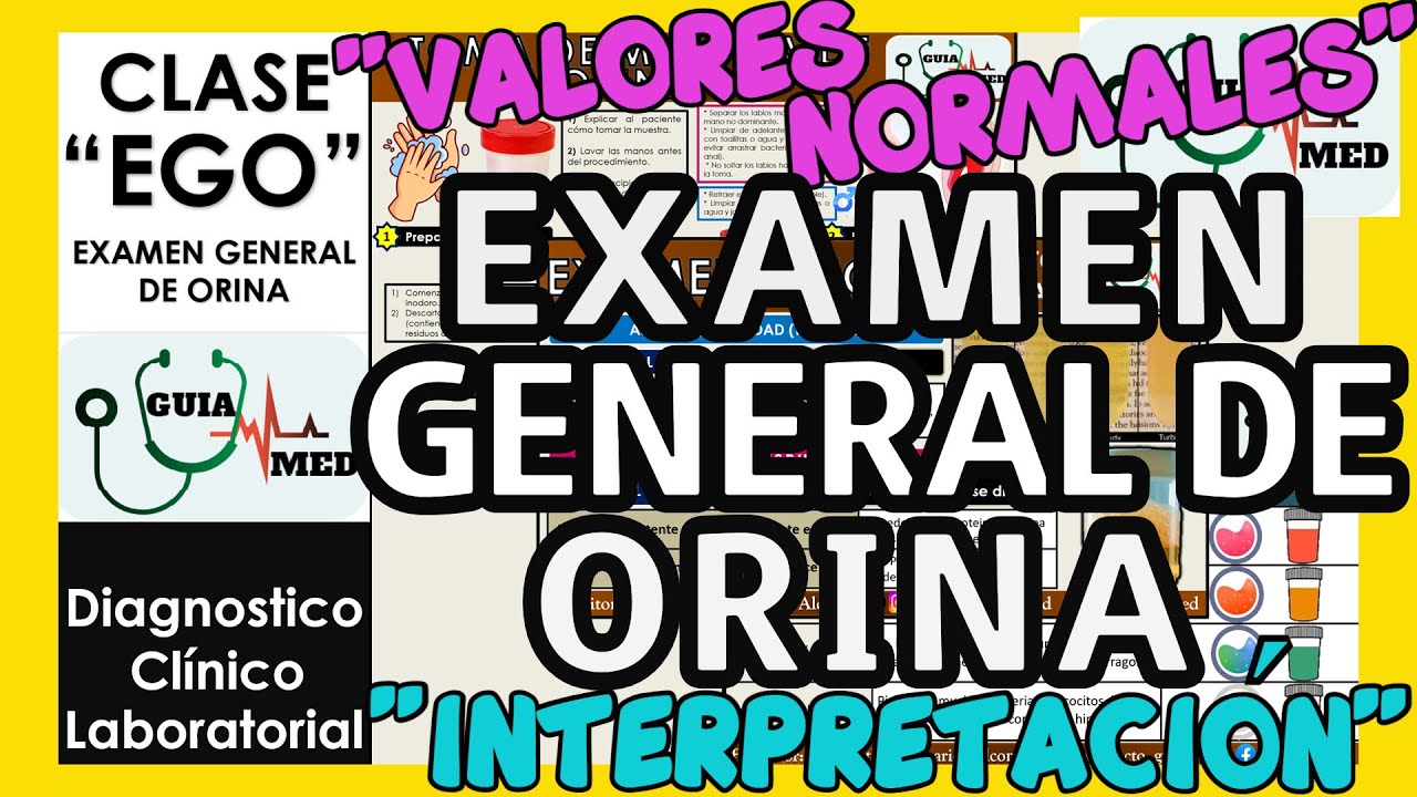 EXAMEN GENERAL DE ORINA INTERPRETACIÓN | GuiaMed