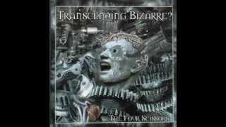 Transcending Bizarre? - Sattelite Souls/Dessicated
