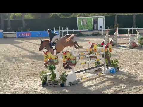 CORENTHA VH PEGGERSHOF Z - VALENCIA 2026 W2