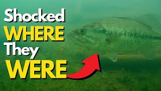Where Cold Front Bass Go - UNDERWATER PROOF